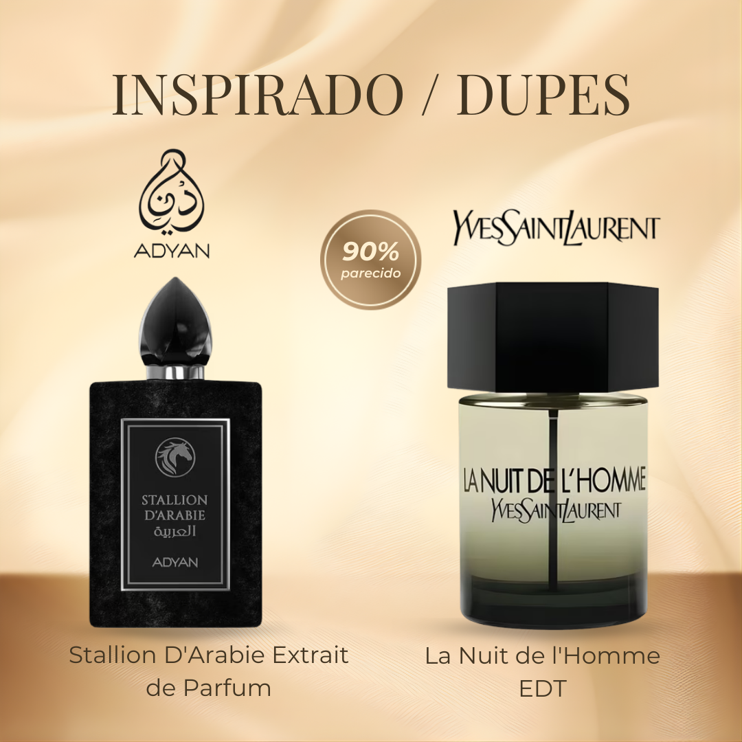 Adyan Stallion D'Arabie Extrait De Parfum 100 ml