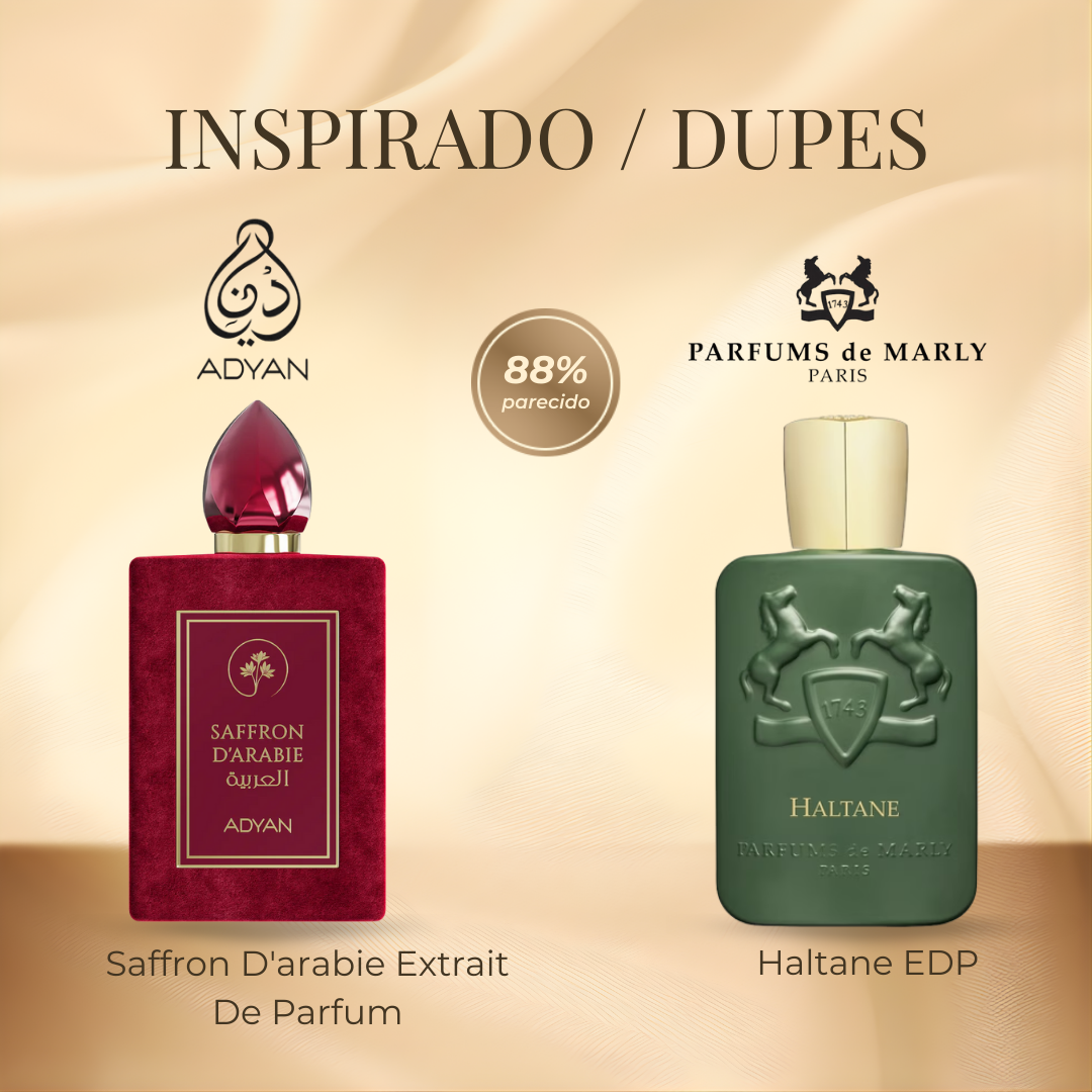 Adyan Saffron D'Arabie EDP 100 ml
