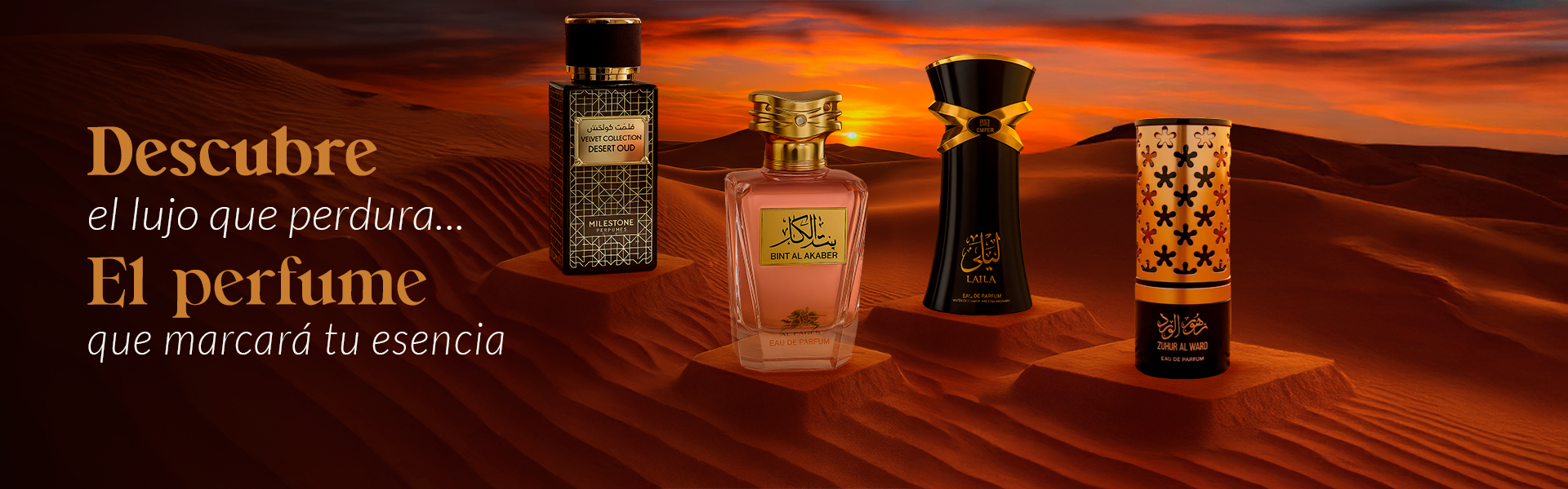 Slide 2 - Imagen escritorio